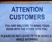 dogs welcome!               